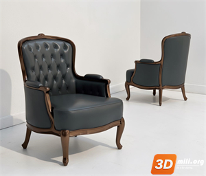 Armchair Skp Files